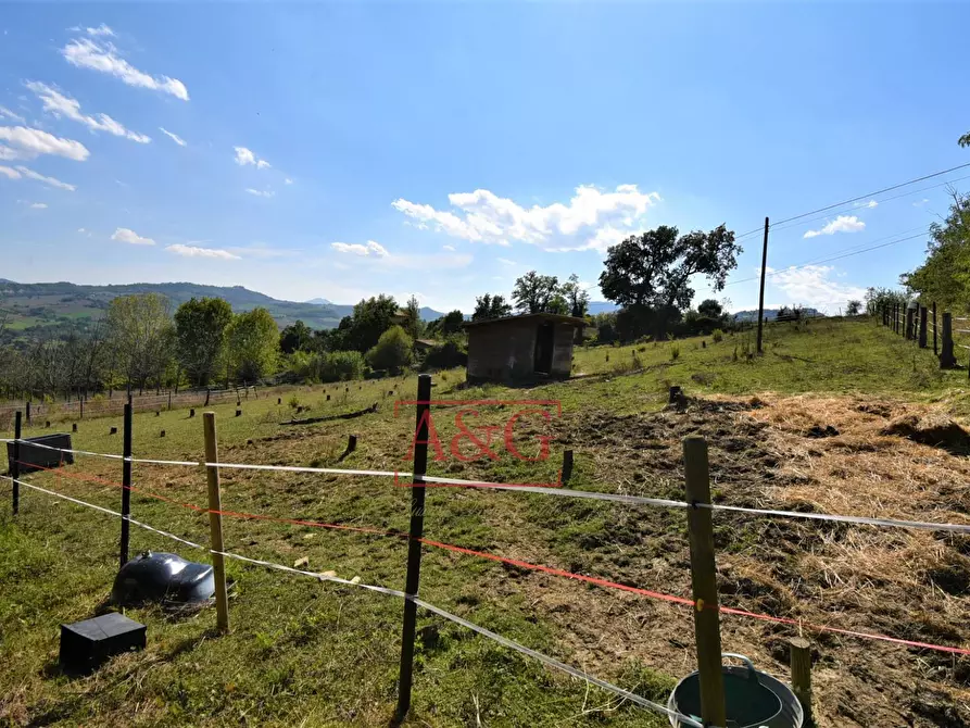 Immagine 75 di Rustico / casale in vendita  in Contrada Biordi 3 a Penna San Giovanni