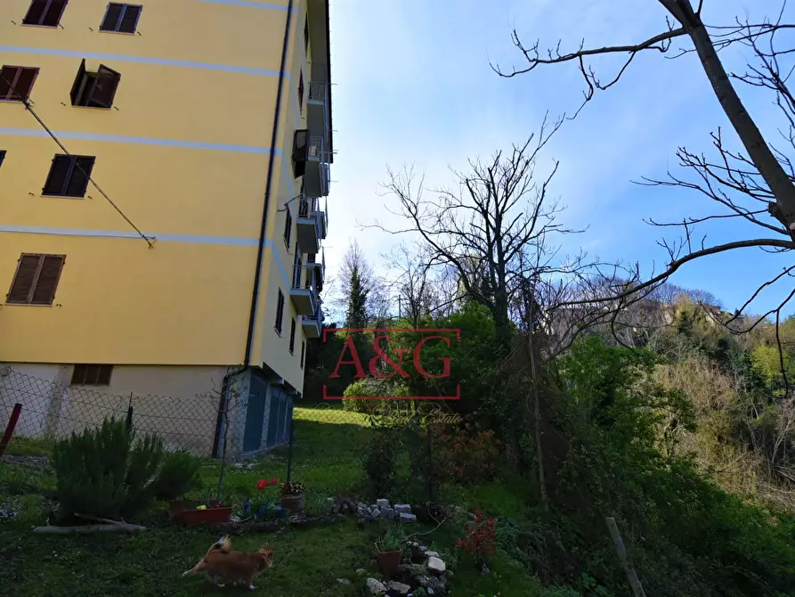 Immagine 5 di Appartamento in vendita  in Borgo San Tommaso 1 a Montedinove