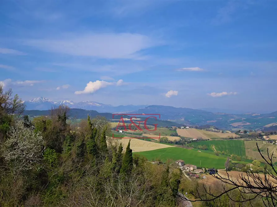 Immagine 6 di Appartamento in vendita  in Borgo San Tommaso 1 a Montedinove