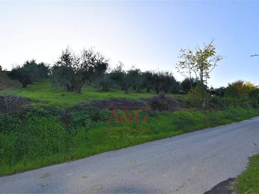 Immagine 34 di Casa indipendente in vendita  in Via Chiavanella 22 a Monteleone Di Fermo