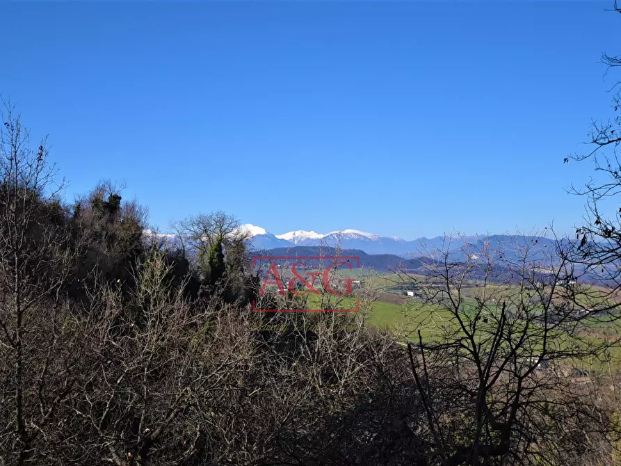 Immagine 27 di Appartamento in vendita  in Borgo San Tommaso 1 a Montedinove