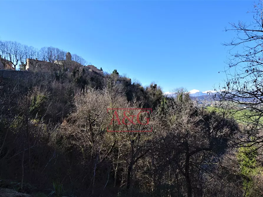 Immagine 28 di Appartamento in vendita  in Borgo San Tommaso 1 a Montedinove