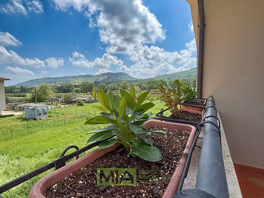 Immagine 73 di Villa in vendita  in Via Abbadia a Monterubbiano