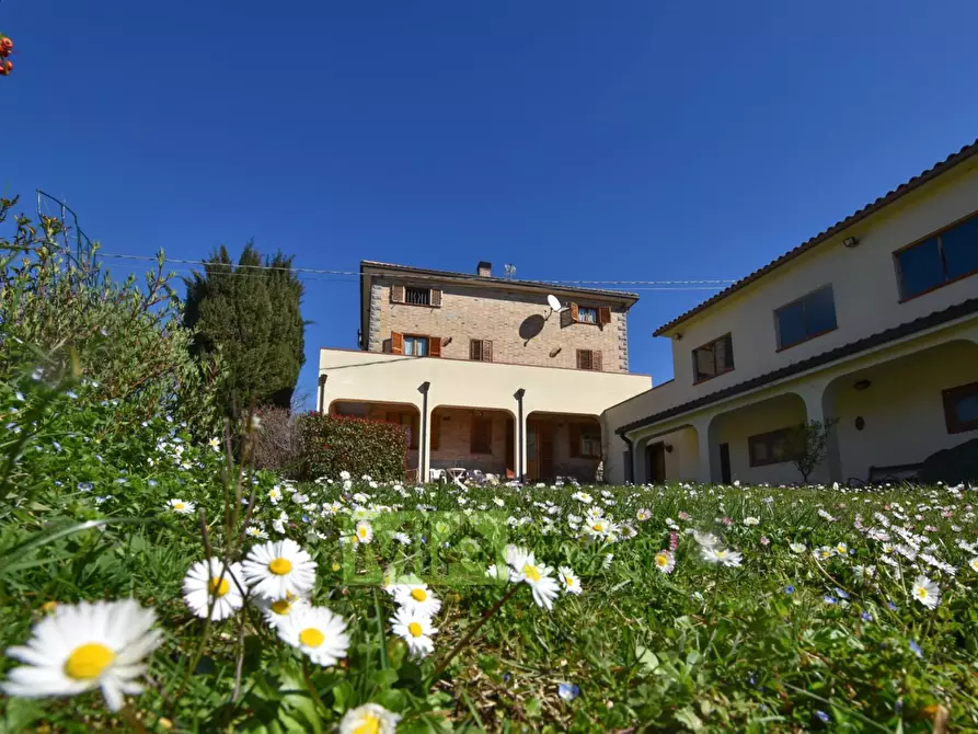 Immagine 12 di Appartamento in vendita  in San Martino al Faggio a Smerillo