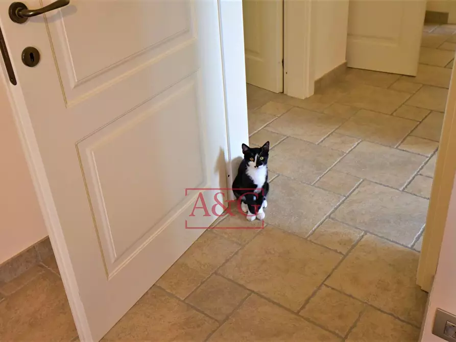 Immagine 48 di Casa indipendente in vendita  in Contrada Mulino 19 a Servigliano