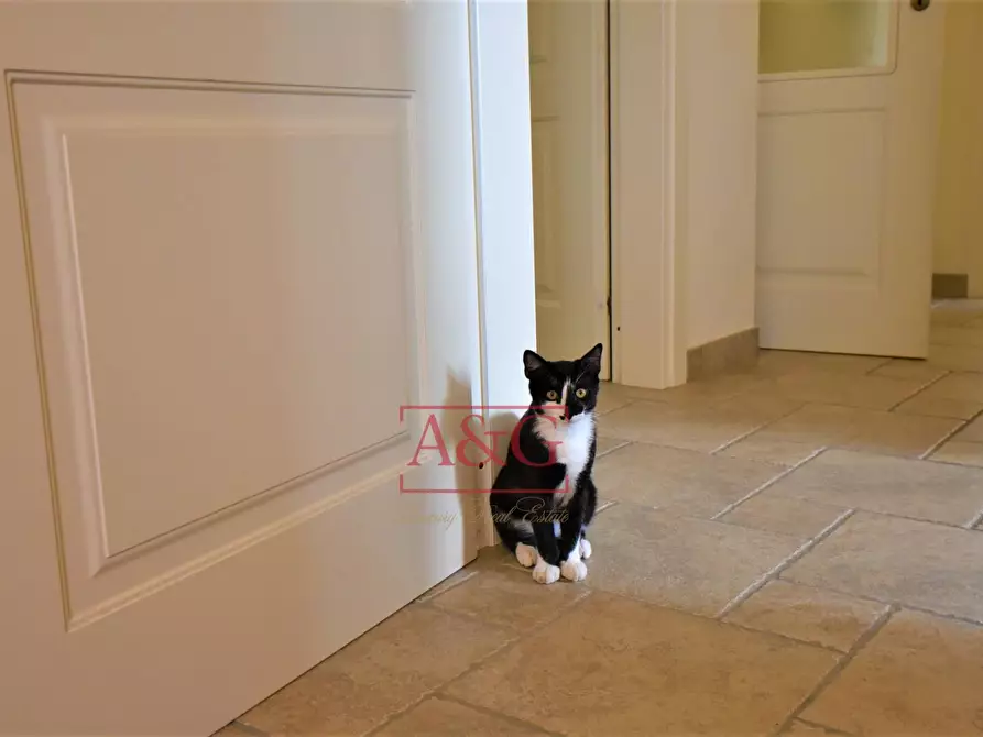 Immagine 49 di Casa indipendente in vendita  in Contrada Mulino 19 a Servigliano