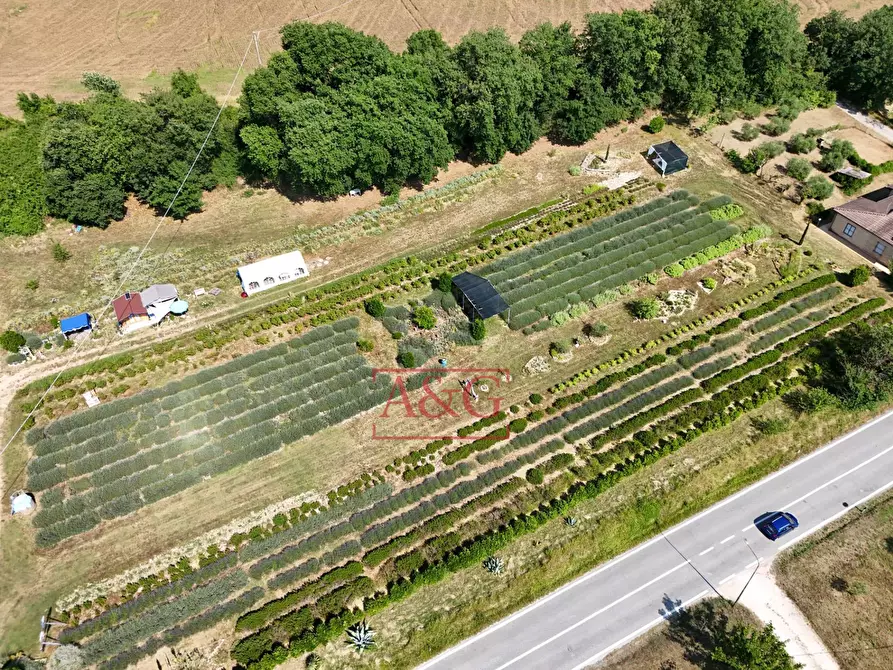 Immagine 85 di Casa indipendente in vendita  in Contrada Mulino 19 a Servigliano