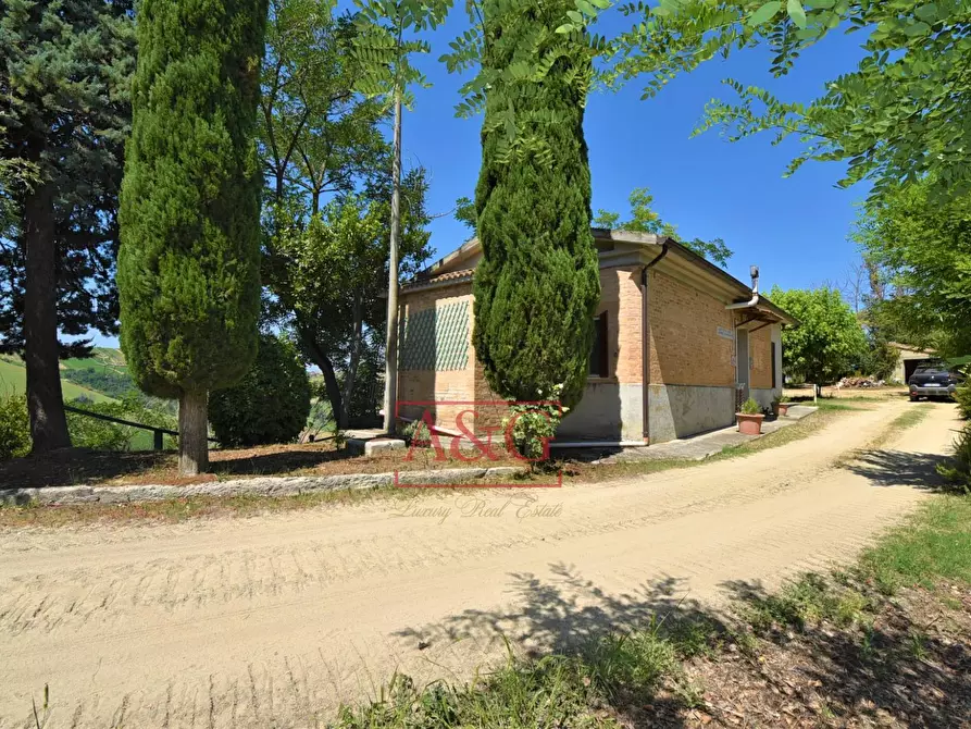 Immagine 4 di Casa indipendente in vendita  in contrada magnola a Ripatransone