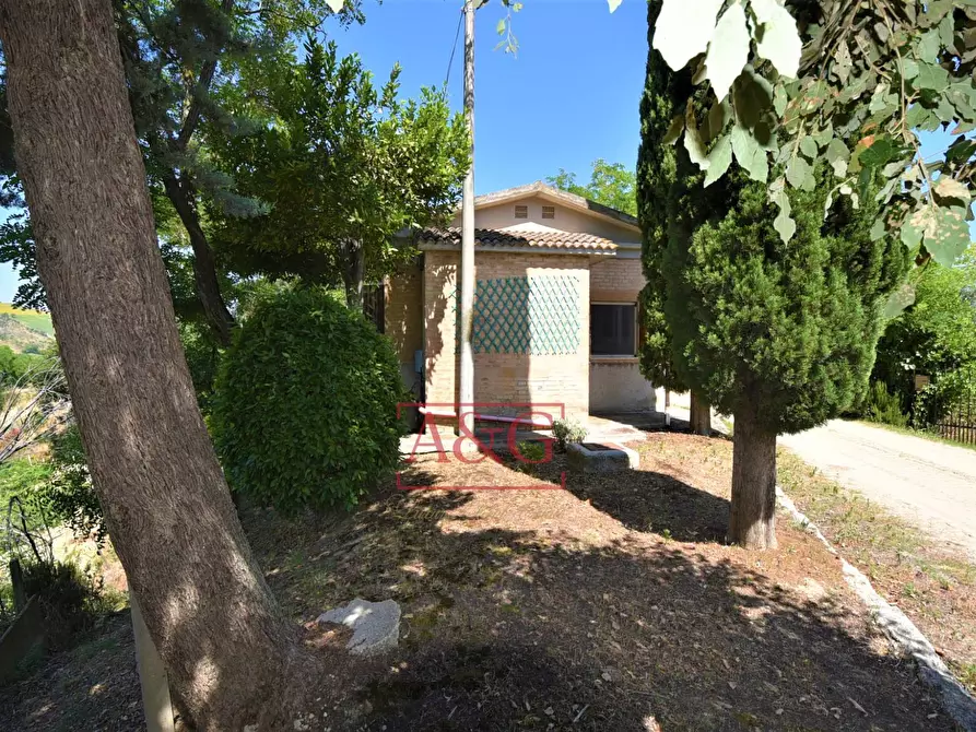 Immagine 5 di Casa indipendente in vendita  in contrada magnola a Ripatransone