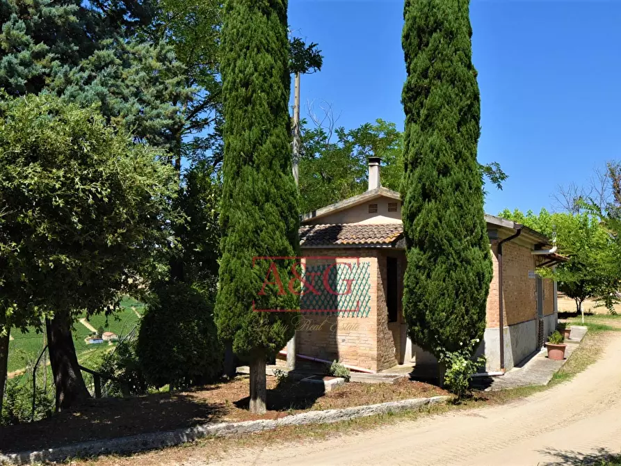 Immagine 6 di Casa indipendente in vendita  in contrada magnola a Ripatransone