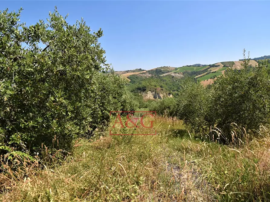 Immagine 27 di Casa indipendente in vendita  in contrada magnola a Ripatransone
