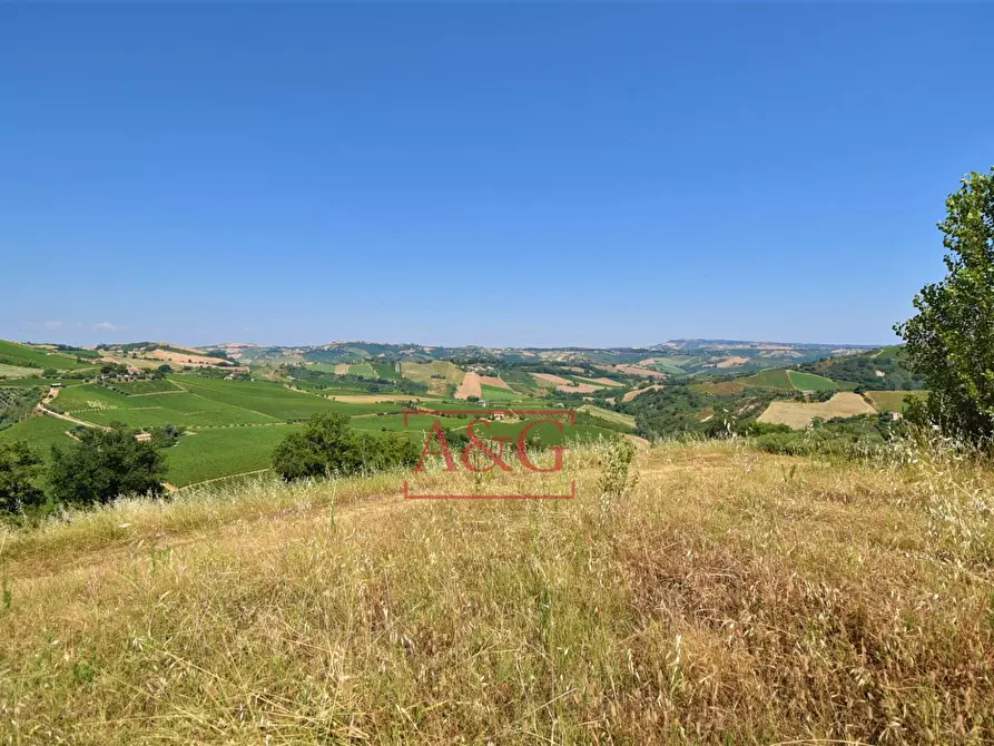 Immagine 30 di Casa indipendente in vendita  in contrada magnola a Ripatransone