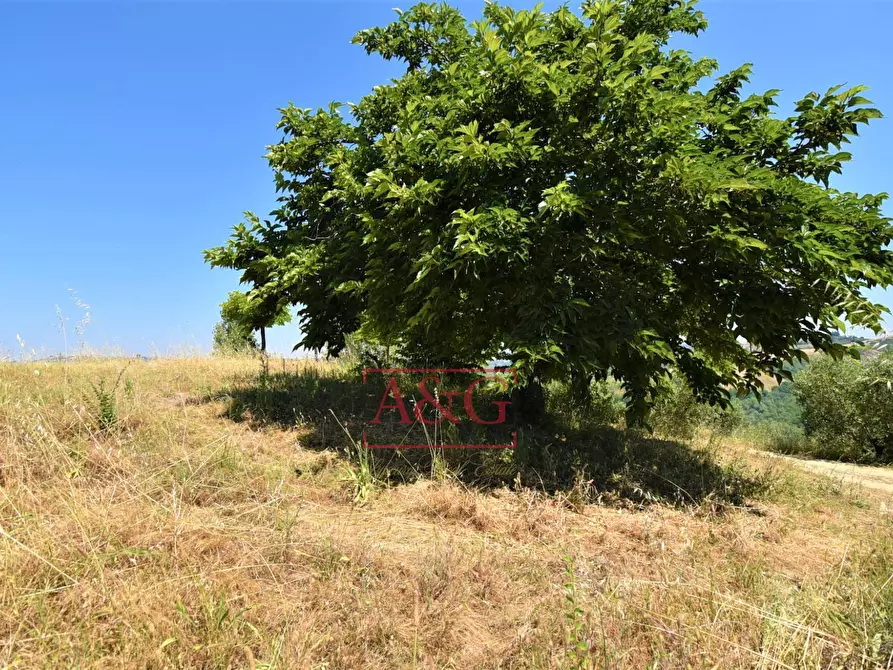Immagine 33 di Casa indipendente in vendita  in contrada magnola a Ripatransone