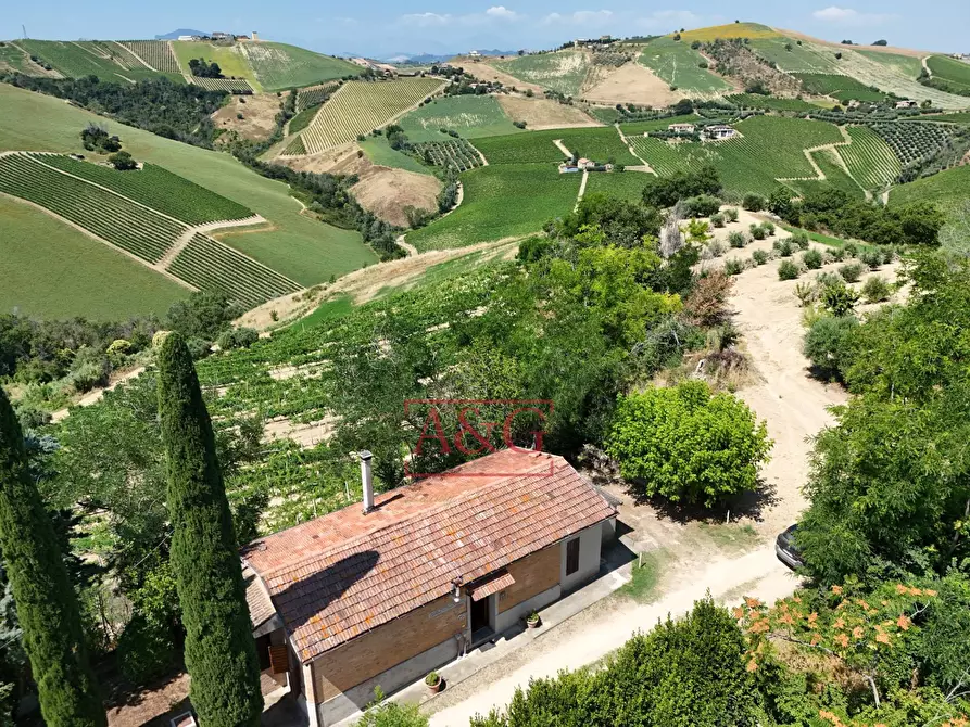 Immagine 39 di Casa indipendente in vendita  in contrada magnola a Ripatransone