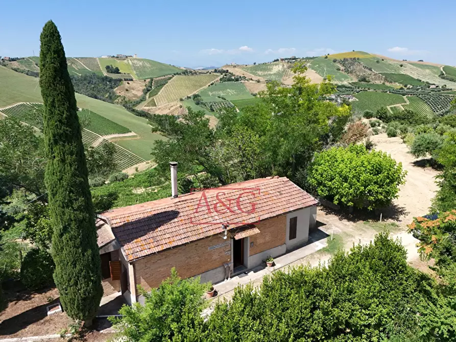 Immagine 40 di Casa indipendente in vendita  in contrada magnola a Ripatransone