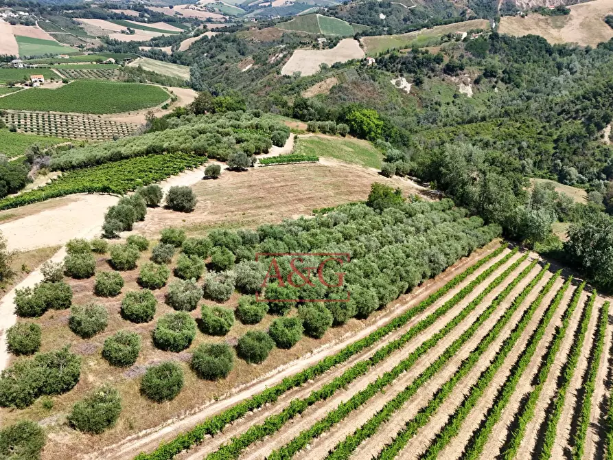 Immagine 42 di Casa indipendente in vendita  in contrada magnola a Ripatransone