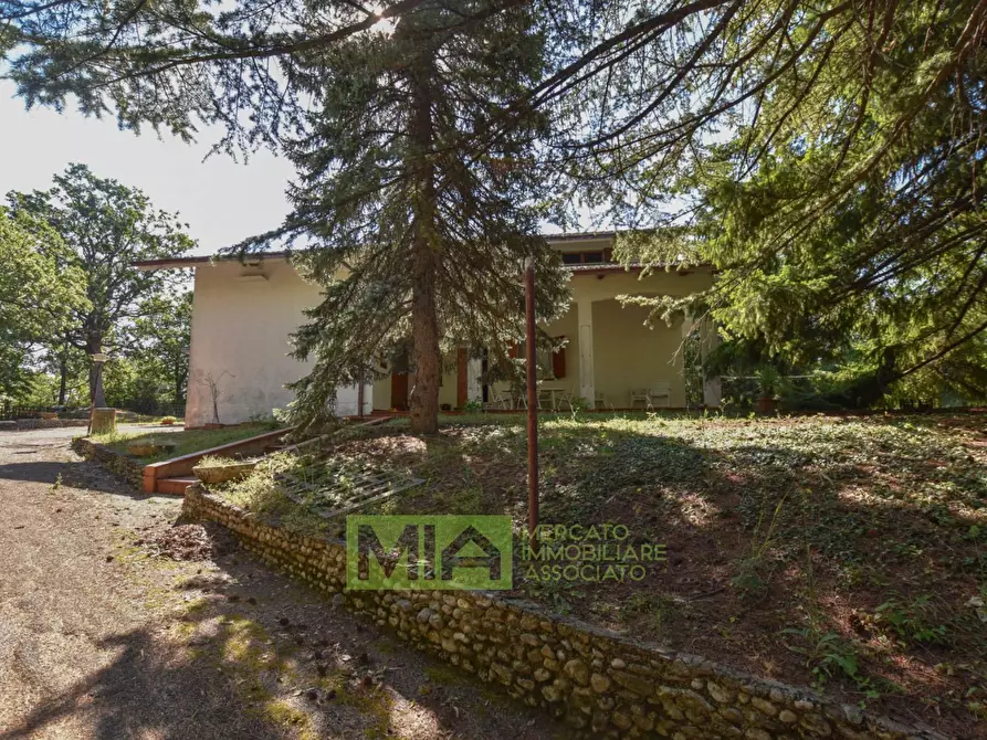 Immagine 11 di Villa in vendita  in Via Rampi a Force