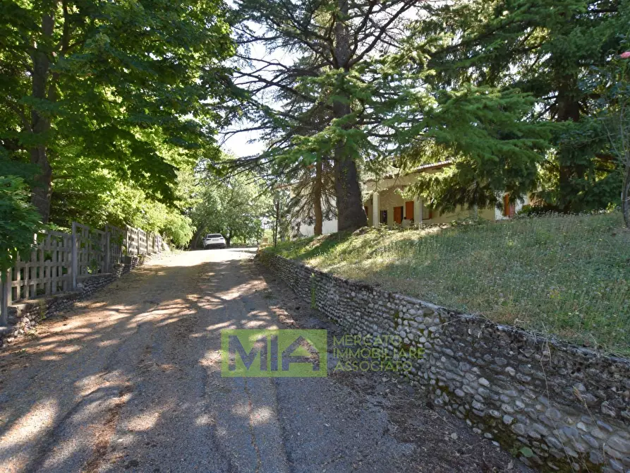 Immagine 12 di Villa in vendita  in Via Rampi a Force