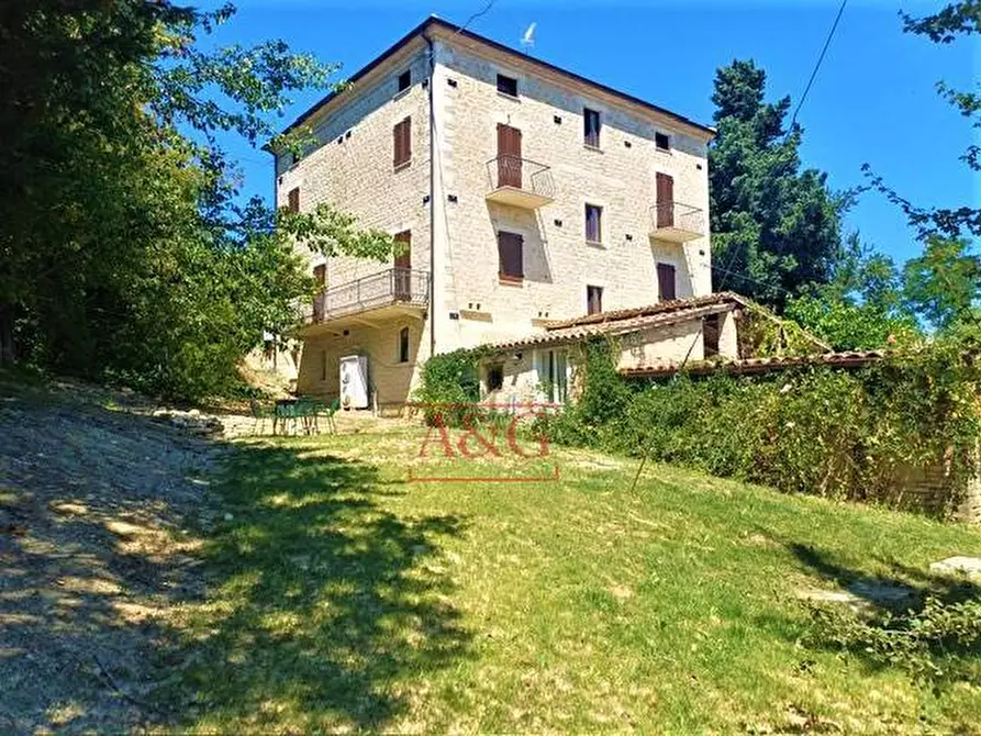 Immagine 3 di Rustico / casale in vendita  in Contrada Biordi 3 a Penna San Giovanni