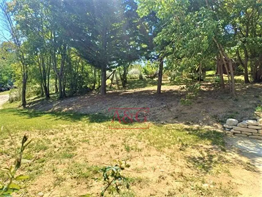 Immagine 78 di Rustico / casale in vendita  in Contrada Biordi 3 a Penna San Giovanni