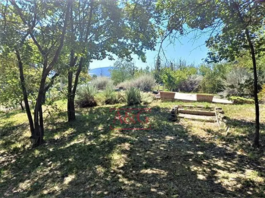 Immagine 60 di Rustico / casale in vendita  in Contrada Biordi 3 a Penna San Giovanni