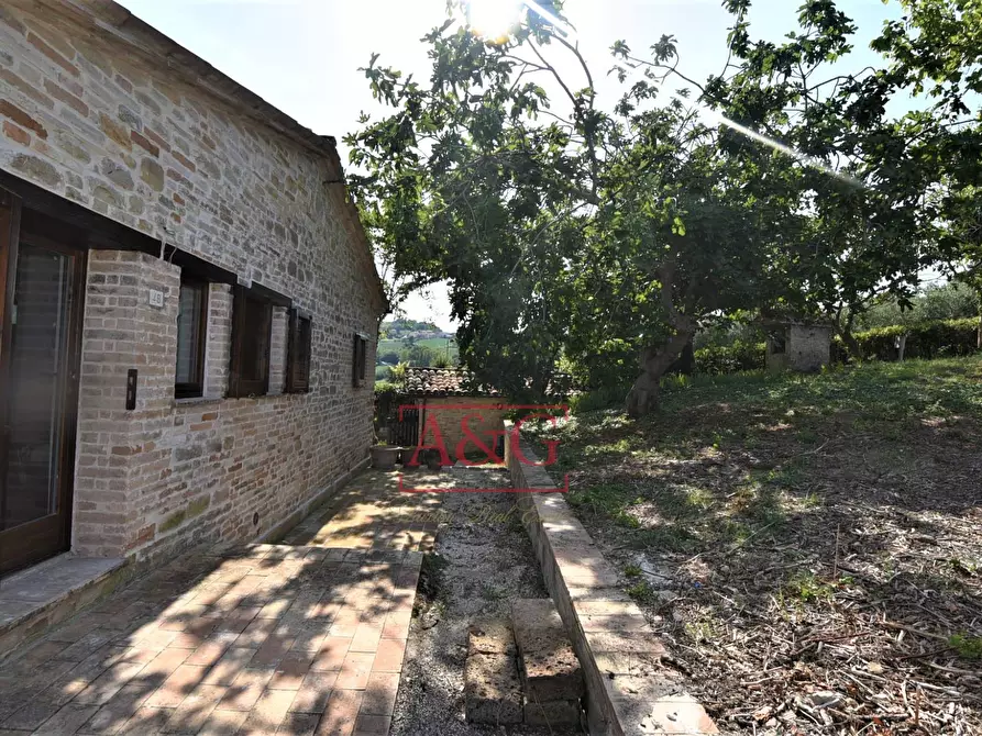 Immagine 42 di Rustico / casale in vendita  in contrada Santa Lucia snc a Servigliano