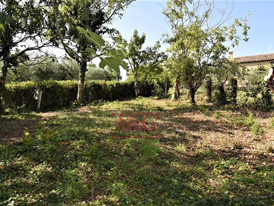 Immagine 54 di Rustico / casale in vendita  in contrada Santa Lucia snc a Servigliano