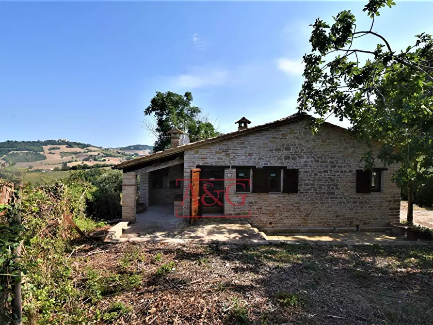 Immagine 44 di Rustico / casale in vendita  in contrada Santa Lucia snc a Servigliano
