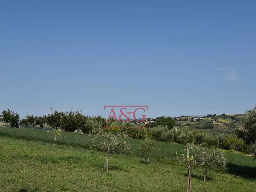 Immagine 58 di Rustico / casale in vendita  in contrada Santa Lucia snc a Servigliano