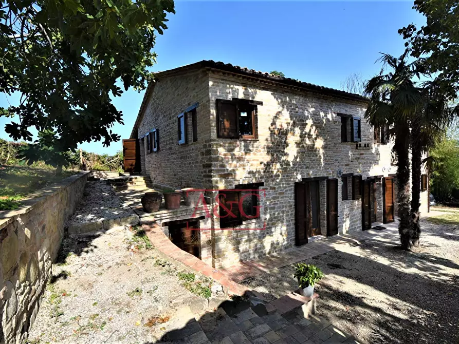 Immagine 4 di Rustico / casale in vendita  in contrada Santa Lucia snc a Servigliano