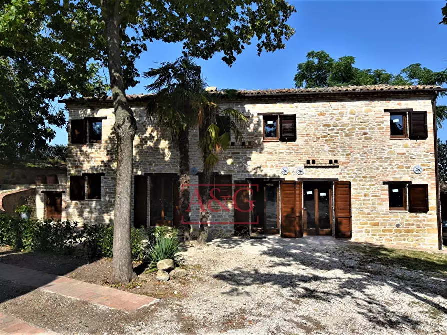 Immagine 3 di Rustico / casale in vendita  in contrada Santa Lucia snc a Servigliano