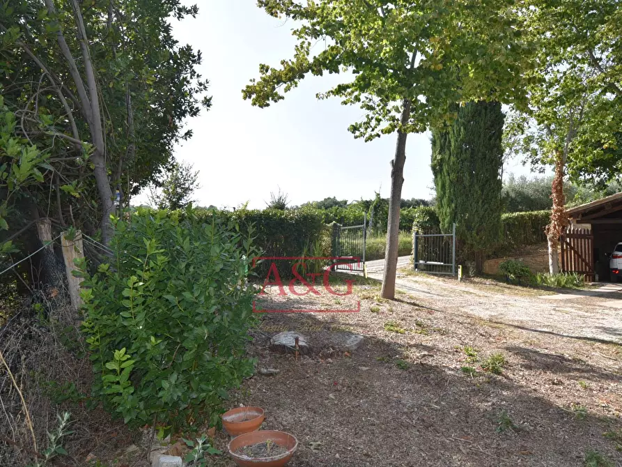 Immagine 55 di Rustico / casale in vendita  in contrada Santa Lucia snc a Servigliano