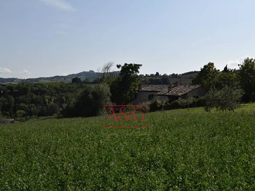 Immagine 57 di Rustico / casale in vendita  in contrada Santa Lucia snc a Servigliano