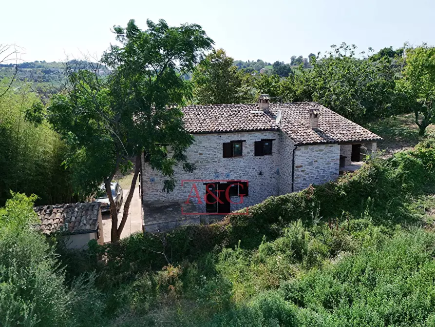 Immagine 61 di Rustico / casale in vendita  in contrada Santa Lucia snc a Servigliano