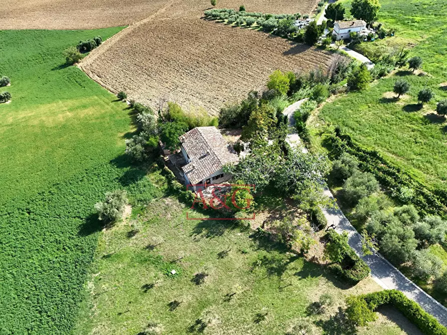 Immagine 68 di Rustico / casale in vendita  in contrada Santa Lucia snc a Servigliano