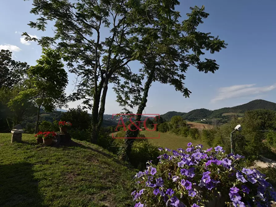 Immagine 72 di Villa in vendita  in Località fossacieca a Montefortino