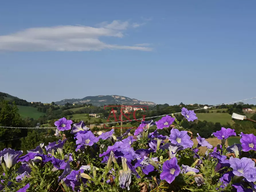 Immagine 71 di Villa in vendita  in Località fossacieca a Montefortino