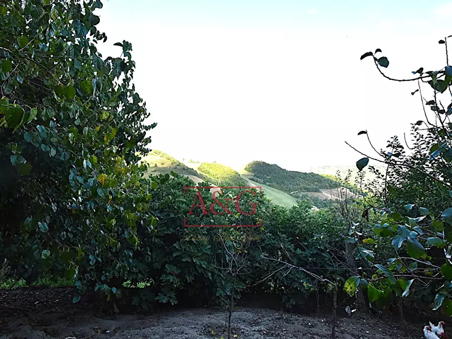 Immagine 12 di Rustico / casale in vendita  in Località Villa Rustici a Amandola