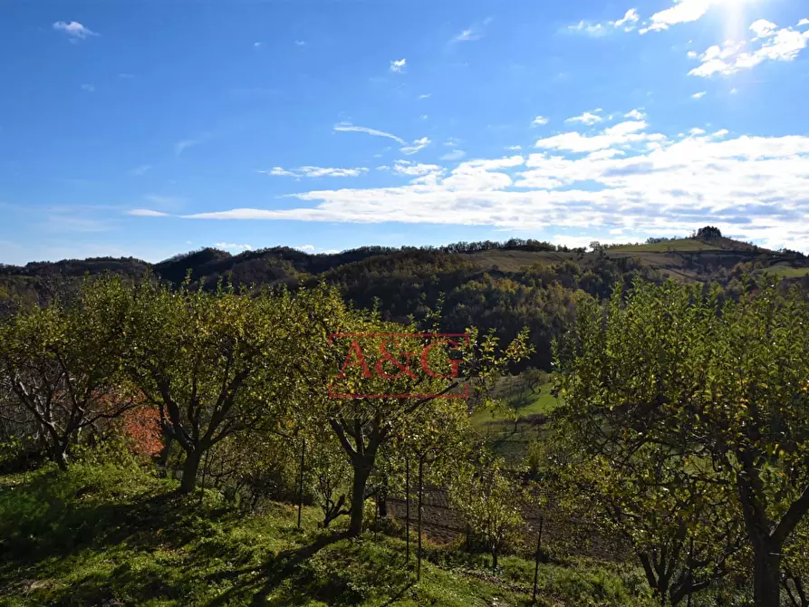 Immagine 24 di Appartamento in vendita  in Loc. Ferrà snc a Montemonaco