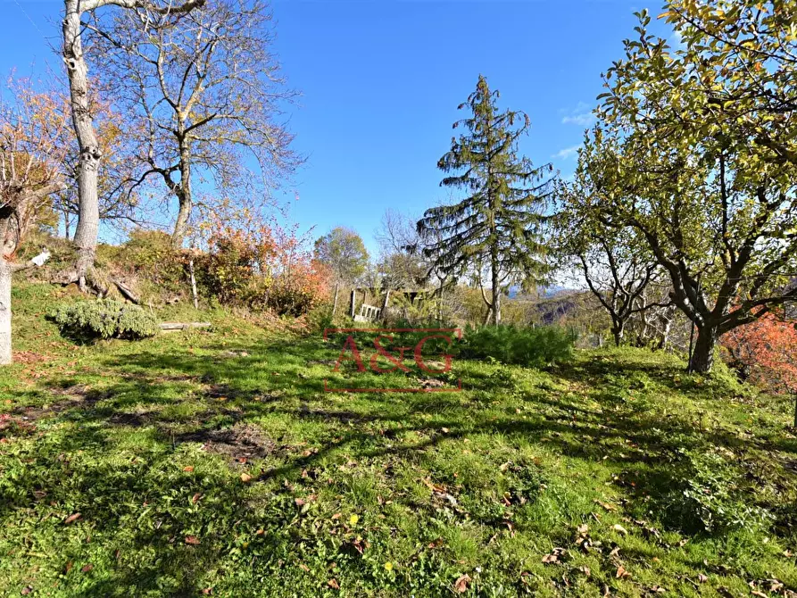 Immagine 25 di Appartamento in vendita  in Loc. Ferrà snc a Montemonaco