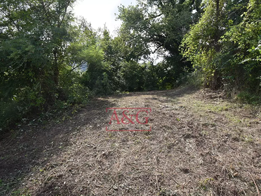 Immagine 23 di Appartamento in vendita  in Località Villa Francucci a Montelparo