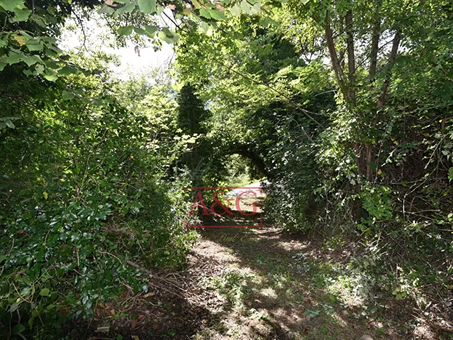 Immagine 24 di Appartamento in vendita  in Località Villa Francucci a Amandola