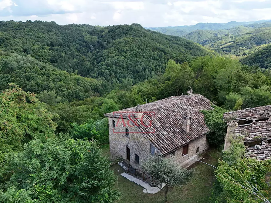 Immagine 26 di Appartamento in vendita  in Località Villa Francucci a Montelparo
