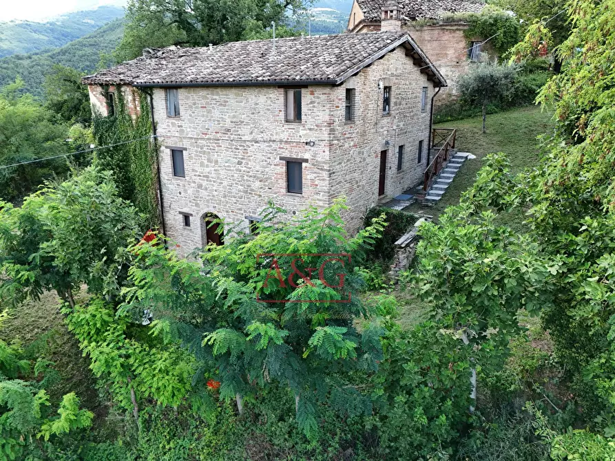 Immagine 29 di Appartamento in vendita  in Località Villa Francucci a Montelparo
