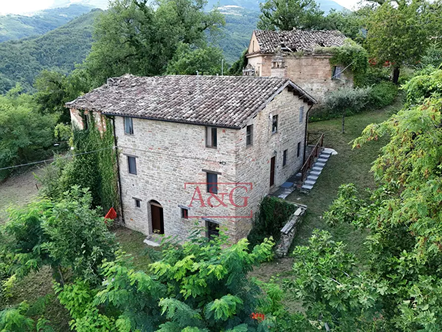 Immagine 3 di Appartamento in vendita  in Località Villa Francucci a Montelparo