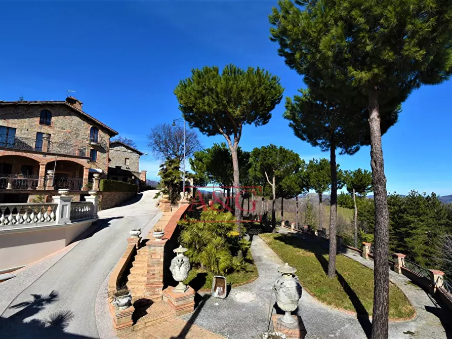 Immagine 8 di Villa in vendita  in contrada Pretattoni snc a Montefortino