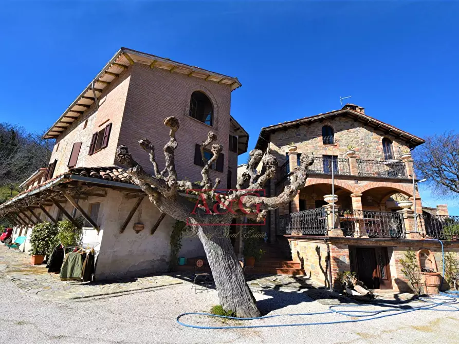 Immagine 6 di Villa in vendita  in contrada Pretattoni snc a Montefortino