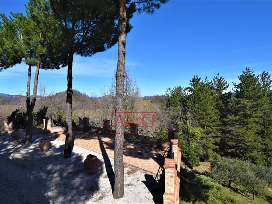 Immagine 15 di Villa in vendita  in contrada Pretattoni snc a Montefortino