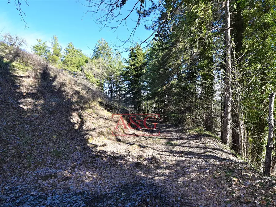 Immagine 31 di Villa in vendita  in contrada Pretattoni snc a Montefortino