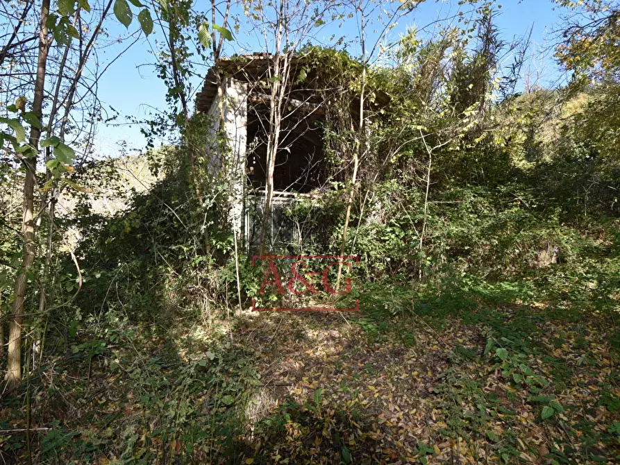 Immagine 31 di Casa indipendente in vendita  in Via Villa Salvi a Amandola